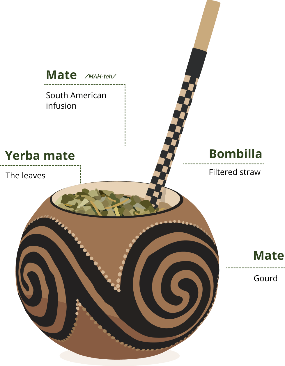 A labelled diagram of a mate gourd, showing the yerba mate leaves and the bombilla filter straw
